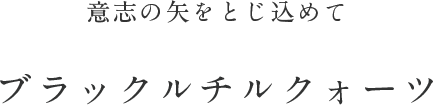 意志の矢をとじ込めて ブラックルチルクォーツ